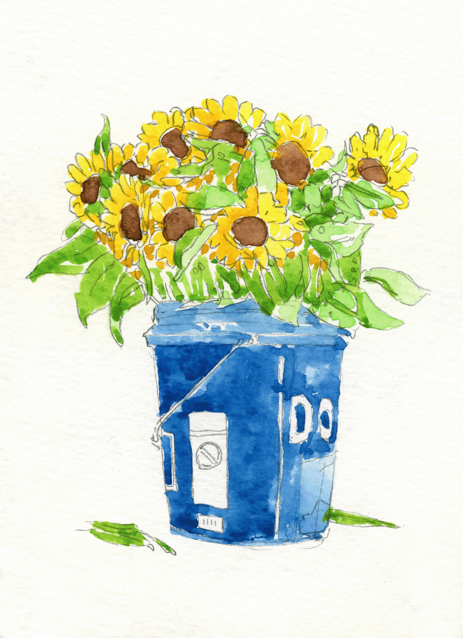 sunflowers in a bucket