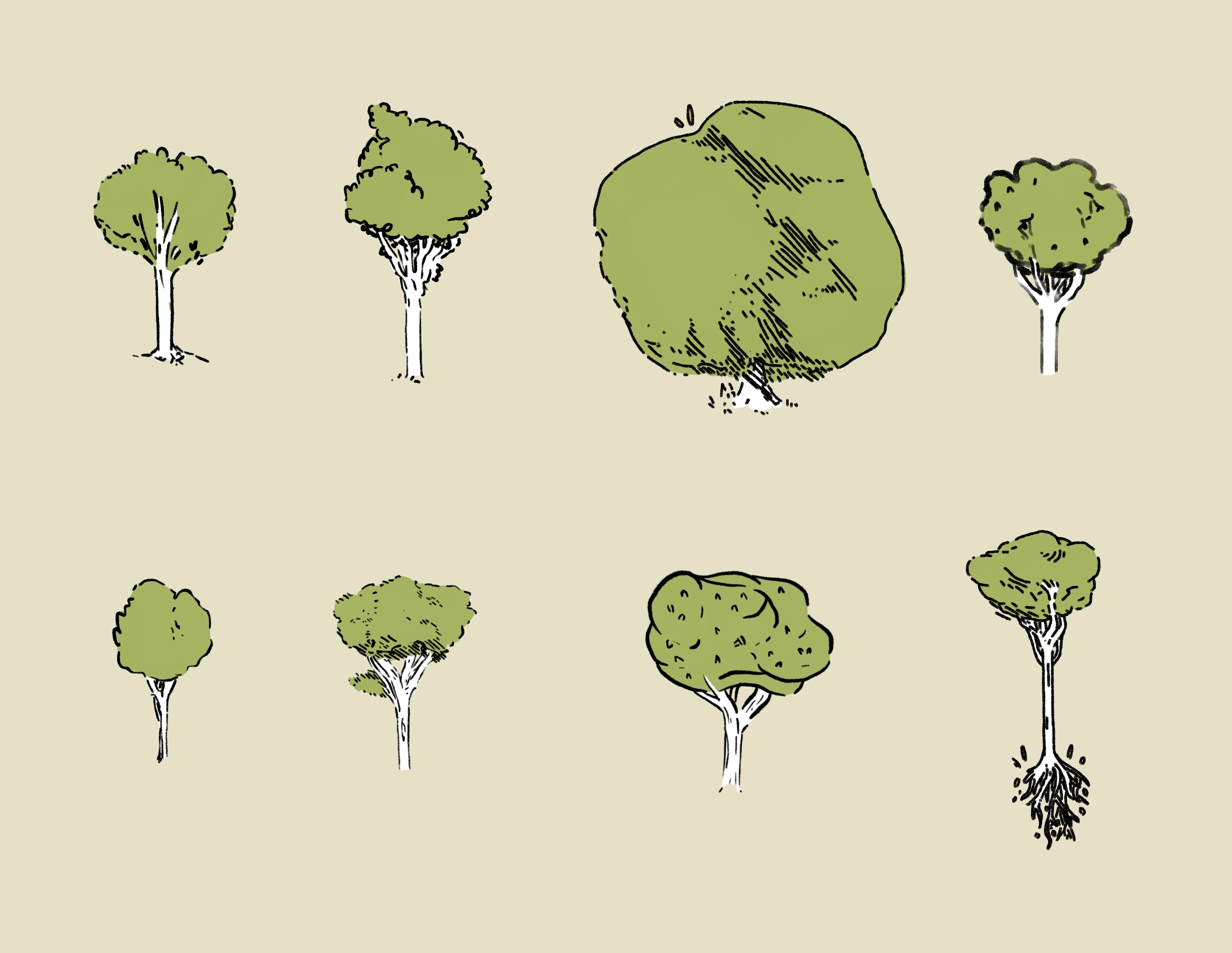 trees in different line styles