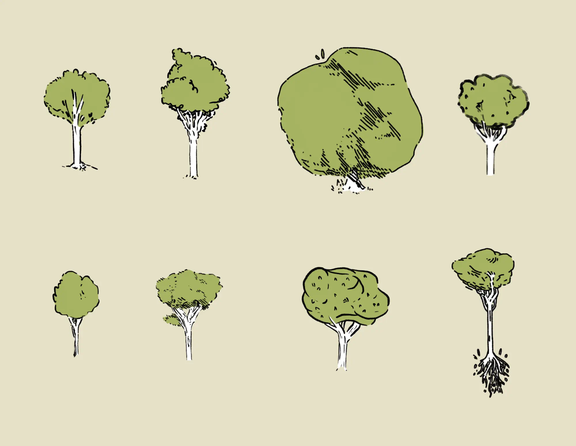  No matter growing up around forest, I think there are a million ways to draw a tree.
 