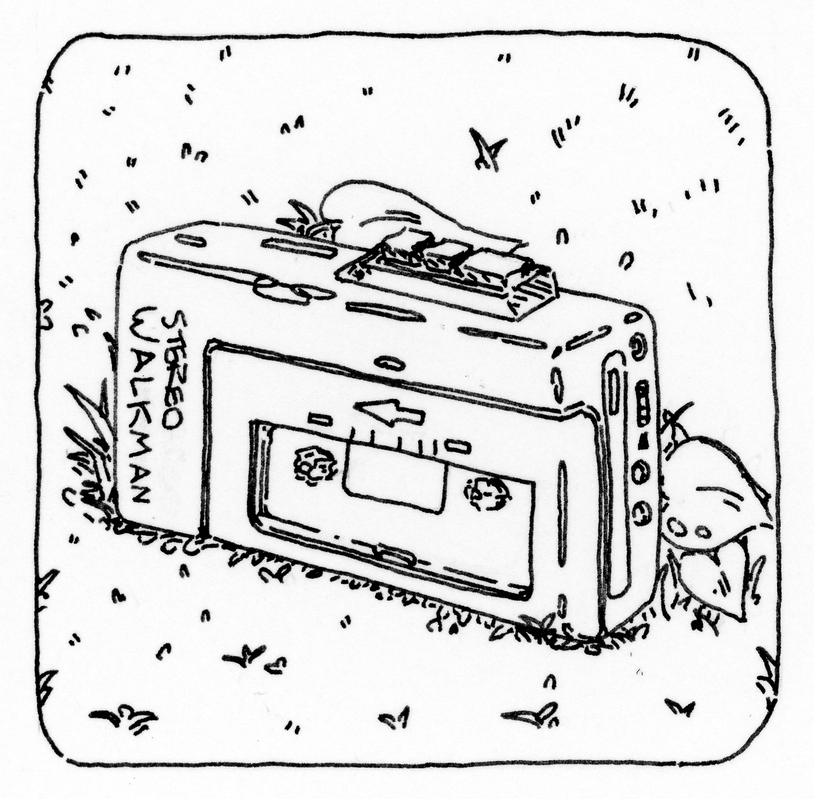cassette player in grass