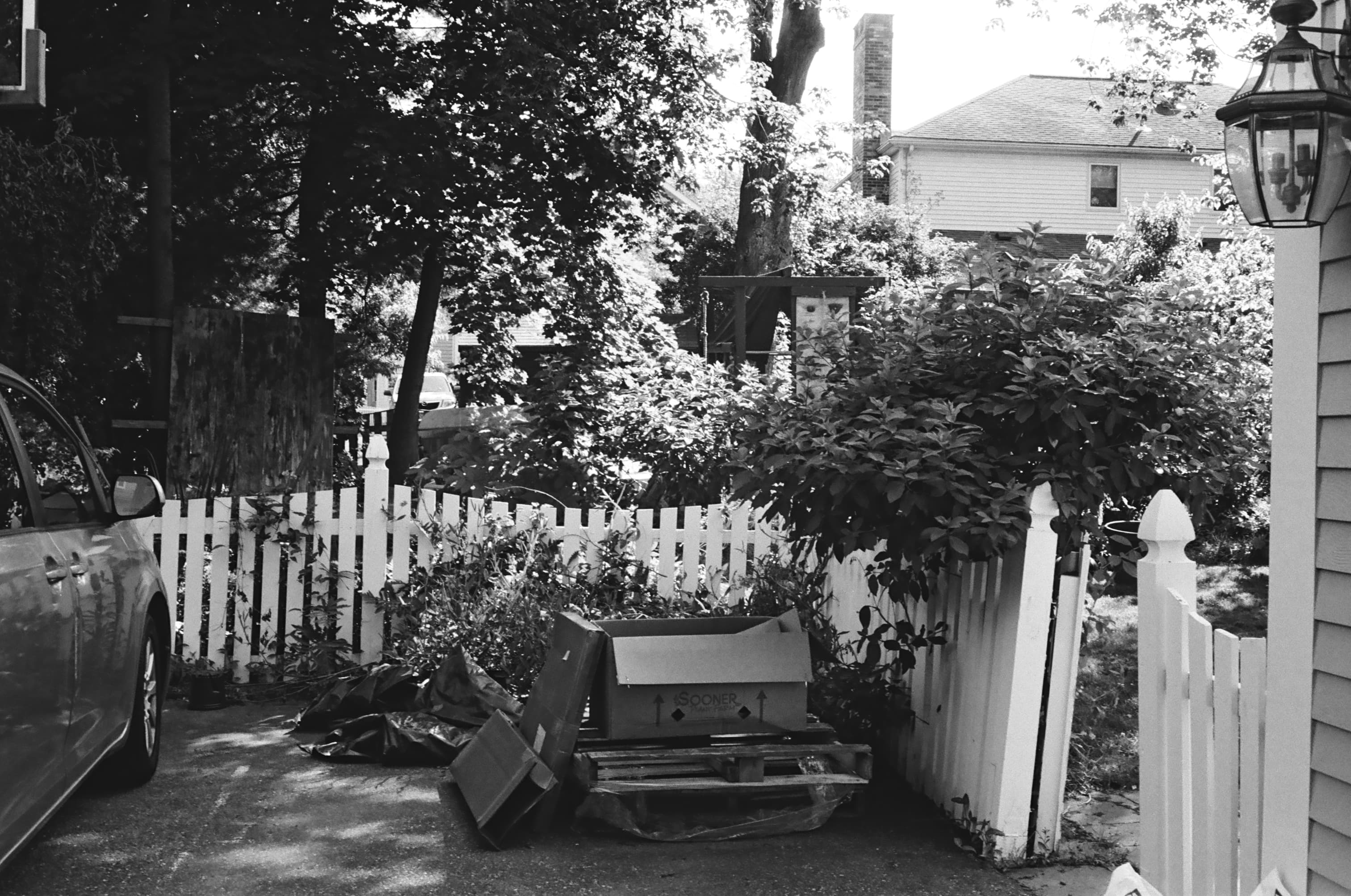 Test picture with good exposure of a grassy yard